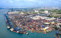 Thứ trưởng Nguyễn Xuân Sang: Tân Cảng Sài Gòn phải là “đầu tàu” tối ưu khai thác cảng biển