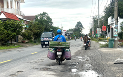 Bộ Xây dựng phản hồi kiến nghị nâng cấp, sửa chữa các tuyến quốc lộ qua An Giang