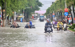 Cà Mau: Hơn 277 tỷ đồng xây dựng 7 cống ngăn mặn, chống ngập