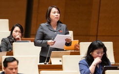 ĐBQH cảnh báo 70% vụ ly hôn xảy ra ở người trẻ, đề nghị bổ sung chính sách hỗ trợ