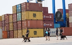 Bộ Xây dựng mở cao điểm chống buôn lậu, gian lận thương mại dịp Tết Bính Ngọ 2026