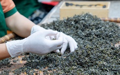 Tự tin chinh phục thị trường bằng năng suất chất lượng