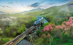 Đường sắt chạy thêm 11 chuyến tàu, cung cấp 5.500 vé dịp Tết Bính Ngọ 2026