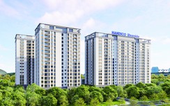 Handico: Ghi dấu ấn trong phát triển nhà ở xã hội trên địa bàn Thủ đô