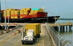 Cảng SSIT đón tàu đầu tiên tuyến dịch vụ mới của hãng tàu MSC - Sambar