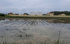 Cục Xăng dầu nói gì về sự cố tràn dầu ở KKT Dung Quất?