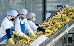 Từ Chương trình 1322 đến sức bật doanh nghiệp Tây Nguyên