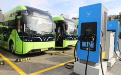 TP.HCM có thêm 169 xe buýt điện, tiến gần mục tiêu xanh hóa 100% giao thông công cộng