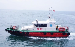 Tái cơ cấu thành công, Hoa tiêu hàng hải miền Bắc tăng mạnh sản lượng và lợi nhuận