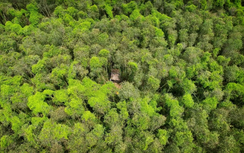 Cà Mau: Gần 1.460 tỷ đồng phát triển du lịch sinh thái U Minh Hạ