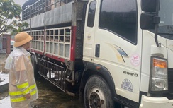 Cảnh sát giao thông Gia Lai kịp thời phát hiện hai xe chở lợn nghi nhiễm dịch đi tiêu thụ