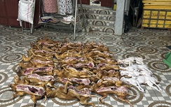 Đà Nẵng: Đột kích cơ sở giết mổ chó, tạm giữ 29 con không nguồn gốc và thu giữ 10kg pháo