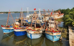 An Giang quyết liệt xử lý tàu cá khai thác thủy sản bất hợp pháp