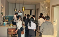 “Lướt sóng” chung cư còn “hái ra tiền”?