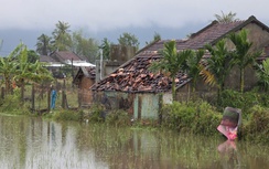 Bài 1: Phục hồi và phát triển nông nghiệp bền vững