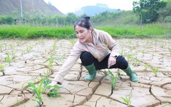 Bài 2: Hỗ trợ phục hồi sản xuất, không để "trên nóng, dưới lạnh"