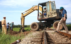 Thanh Hoá: Siết chặt quản lý, tích cực tuyên truyền đảm bảo an toàn giao thông đường sắt