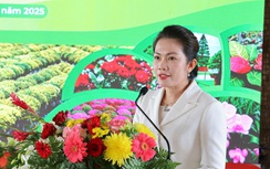 Đồng Tháp: Sắp có Festival hoa Sa Đéc với hàng ngàn chậu kiểng, bon sai