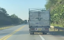Tường trình của tài xế xe tải bị gọi là "chim mồi" trên cao tốc Nội Bài - Lào Cai