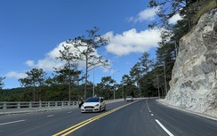 Lâm Đồng: Tạm dừng lưu thông qua đèo Prenn từ 11h - 17h ngày 8/12 để chặt hạ cây