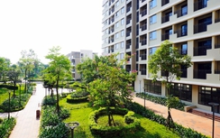 Mua bán “suất” nhà ở xã hội qua vi bằng: Hệ lụy khôn lường và góc nhìn pháp lý