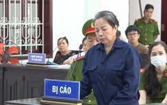 Đôi vợ chồng ở Vĩnh Long làm giả công văn, lừa đảo hơn 11 tỷ đồng