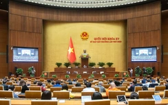 Quốc hội xem xét công tác nhân sự, quyết định số lượng thành viên Chính phủ