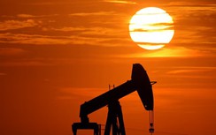 Thuế dầu 10% của ông Trump có thể khiến các nhà sản xuất nước ngoài thiệt hại 10 tỷ USD