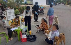 Chó dại thả rông chạy vào chợ cắn 3 người ở Bình Thuận