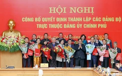 Thủ tướng trao quyết định thành lập 15 đảng bộ trực thuộc Đảng ủy Chính phủ
