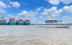 Cà Mau: Lễ hội Nghinh Ông Sông Đốc 100 tuổi có gì đặc biệt?