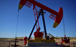 Goldman Sachs hạ dự báo giá dầu