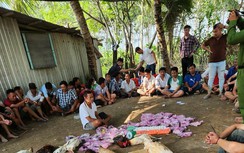Long An: Bắt quả tang 58 đối tượng đánh bạc, tổ chức đánh bạc