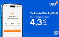 Phó tổng giám đốc VIB: “Khách hàng cần giúp khai phóng tối đa sức mạnh dòng tiền"