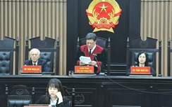 Cựu Chủ tịch AIC Nguyễn Thị Thanh Nhàn bị phạt thêm 10 năm tù