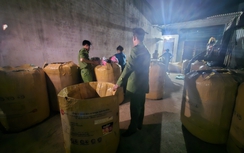 Buôn bán mũ bảo hiểm giả, nam thanh niên lĩnh án 8 năm tù