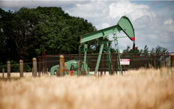 Giá dầu thế giới phục hồi nhờ những tín hiệu tích cực từ Trung Quốc