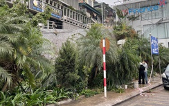 Quảng Ninh: Xe máy xúc mất phanh rơi bờ kè, tài xế tử vong tại chỗ