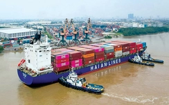 Giá thuê tàu tăng, doanh nghiệp Việt lợi gì?