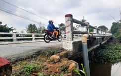 Gian lận trong đấu thầu, một doanh nghiệp ở Quảng Trị bị phạt 200 triệu đồng
