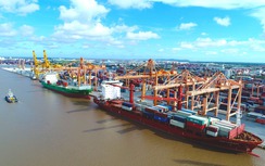 Việt Nam có thêm 8 bến cảng mới