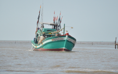 Chủ tàu cá ở Cà Mau vi phạm giám sát hành trình bị phạt hơn 200 triệu đồng