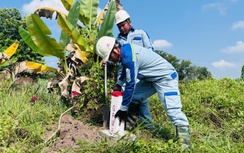 Hoàn thành cắm 3.029 cọc mốc GPMB cao tốc TP.HCM - Mộc Bài trong tháng 3/2025