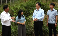 Phó thủ tướng Mai Văn Chính kiểm tra công trình giao thông ở Khánh Hòa