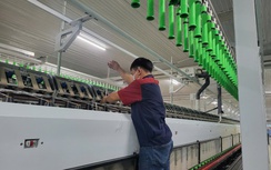 Tăng cường quản lý nguyên liệu nhập khẩu, ngăn chặn gian lận xuất xứ