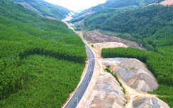 Đề xuất tạm sử dụng rừng để thực hiện dự án giao thông trọng điểm