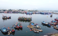 Nạo vét, khơi luồng cảng cá Lạch Bạng sau nhiều năm bồi lắng