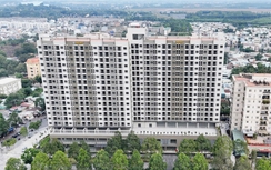 Đồng Nai kiểm tra việc mua bán, cho thuê nhà ở xã hội