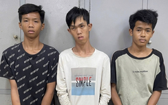 Cướp tài sản trong đêm, 3 đối tượng ở Đồng Nai bị bắt
