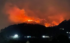 Phó Thủ tướng chỉ đạo tập trung khắc phục hậu quả 2 vụ cháy rừng tại Quảng Ninh